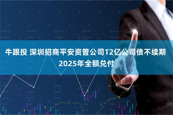 牛跟投 深圳招商平安资管公司12亿公司债不续期 2025年全额兑付