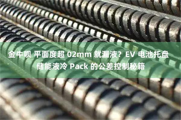 金牛呗 平面度超 02mm 就漏液？EV 电池托盘  储能液冷 Pack 的公差控制秘籍