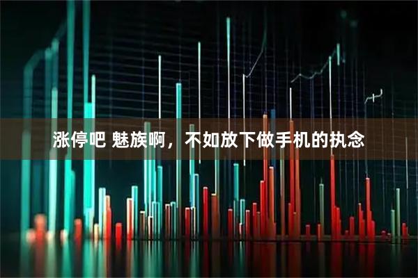 涨停吧 魅族啊，不如放下做手机的执念
