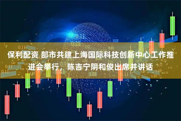 保利配资 部市共建上海国际科技创新中心工作推进会举行，陈吉宁阴和俊出席并讲话